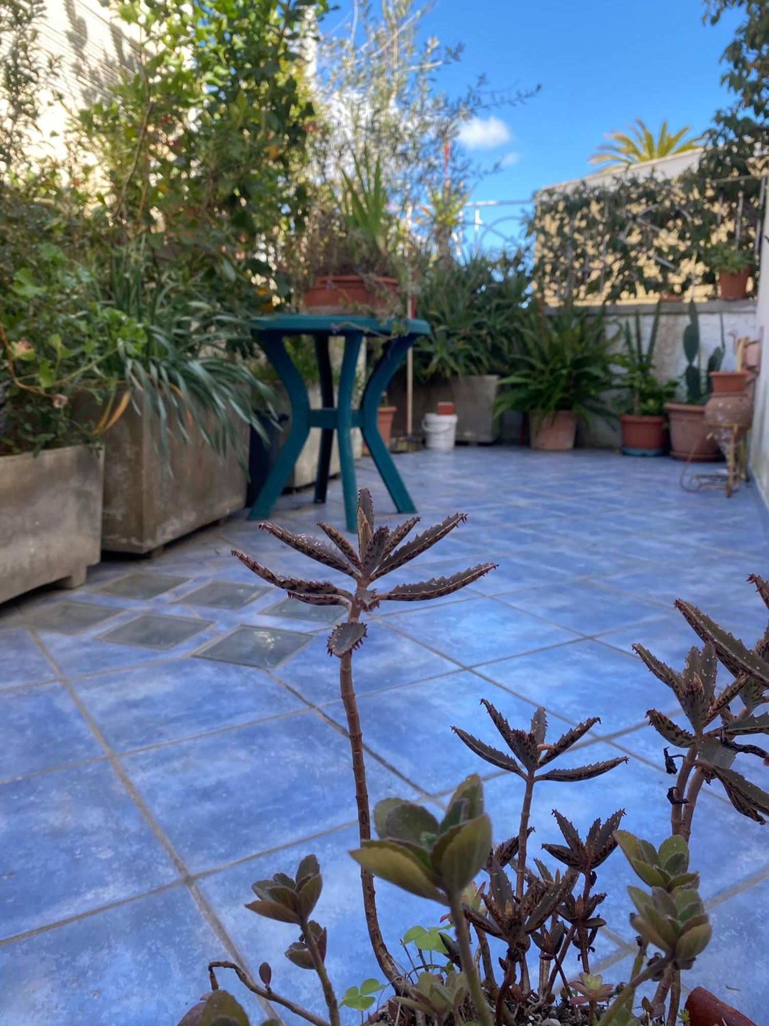 Casa Vacanza Maronti Barano dʼIschia المظهر الخارجي الصورة